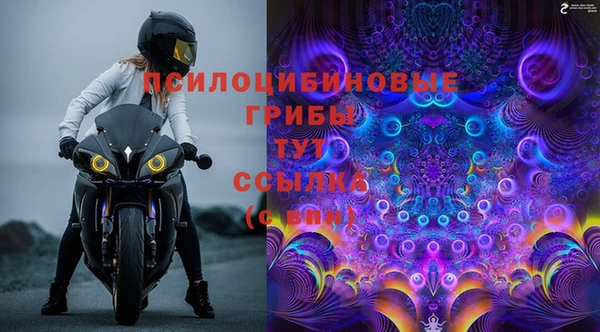 ГАЛЛЮЦИНОГЕННЫЕ ГРИБЫ Алзамай