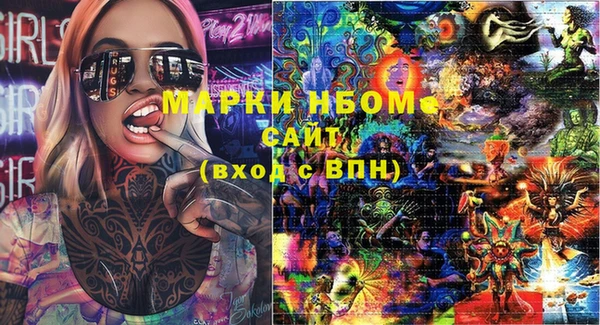 мет Алексин