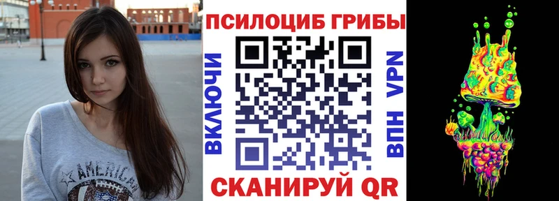 нарко площадка клад  Павлово  Псилоцибиновые грибы Psilocybine cubensis 